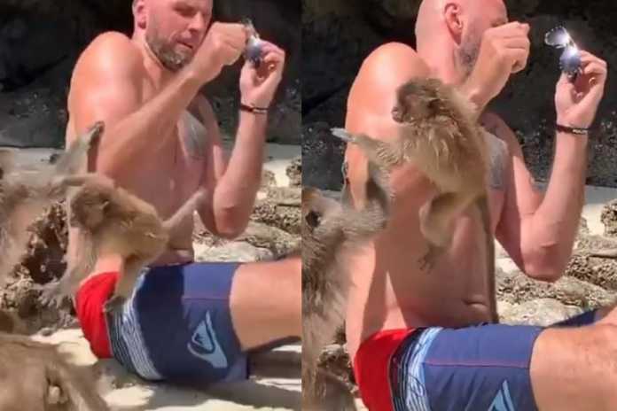 Marcin Gortat zaatakowany przez małpy! Foto: Instagram